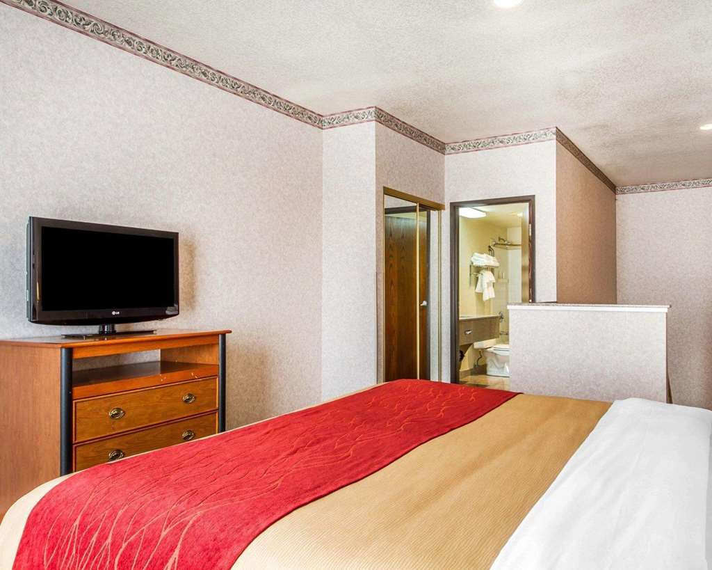 Comfort Inn Lathrop Stockton Airport Quarto foto